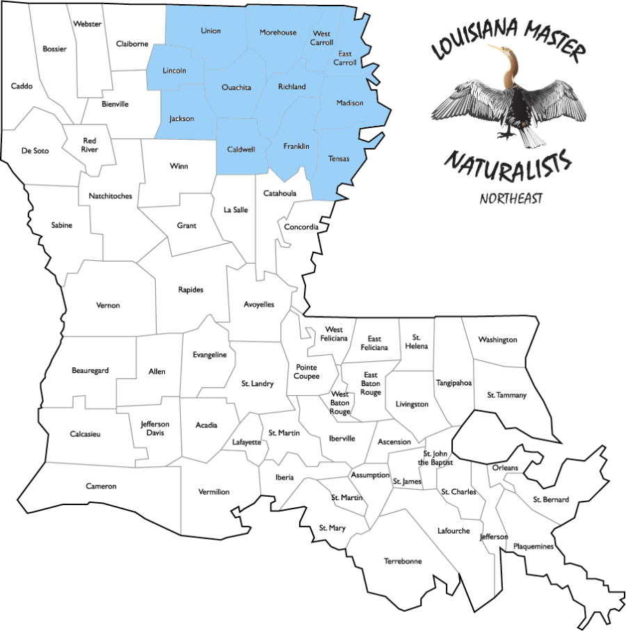 LMNA parishes map NORTHEAST copy