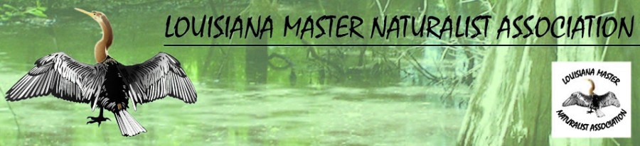LMNA web banner