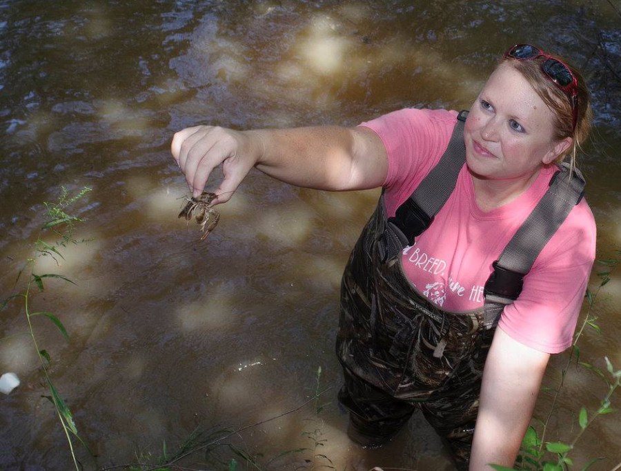 Laird &amp; crawfish