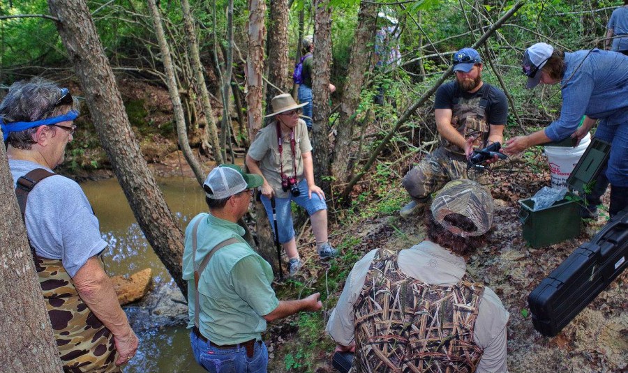 Redwine checkpoint 1