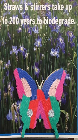 Straw Butterfly crop