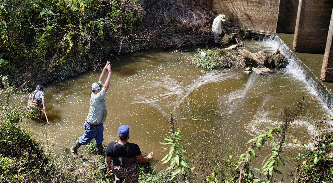 Searching for Life 15"