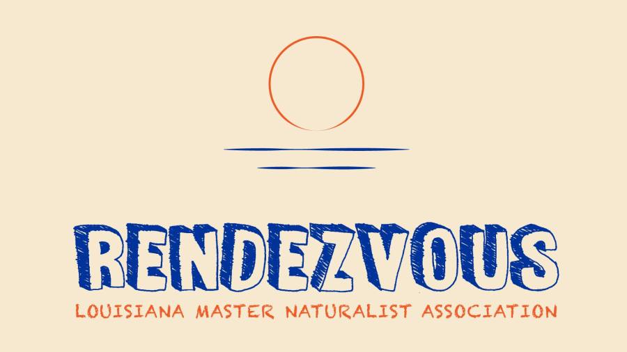 51034513_1286226258192553_2726968413762093056_o