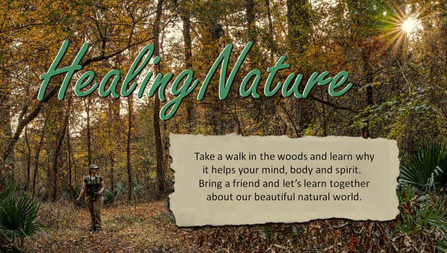 Healing Nature Ad copy