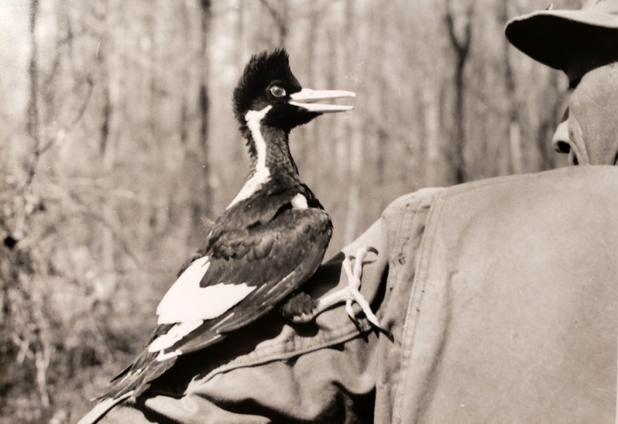 Sonny Boy and JJ Kuhn