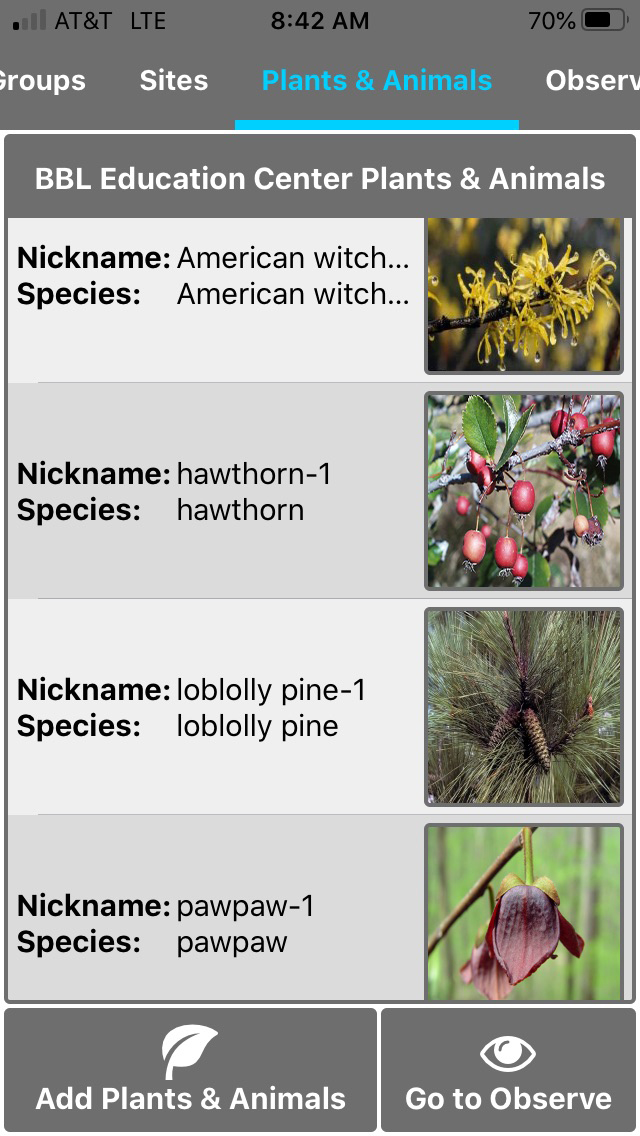 BBL Edu Ctr pheno trail 1