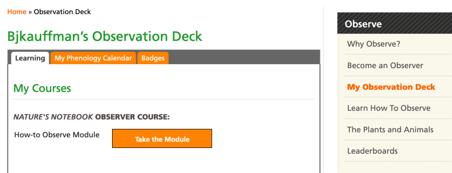Screen Shot 2020-04-11 at 1.39.14 PM