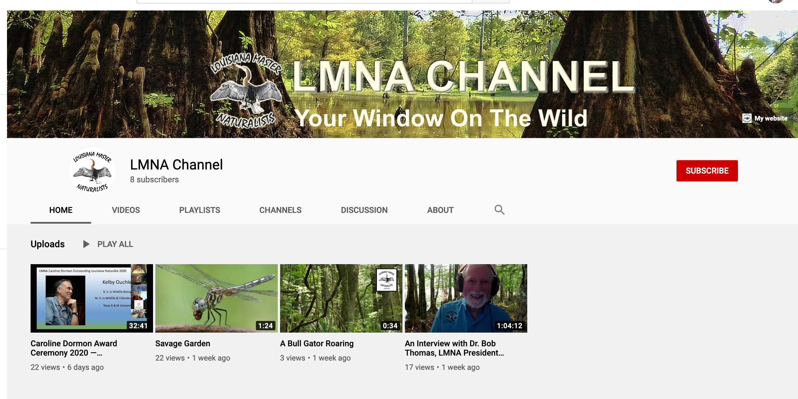 Screen Shot 2020-07-11 at 7.45.46 PM