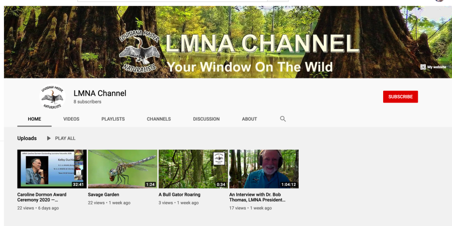 Screen Shot 2020-07-11 at 7.45.46 PM