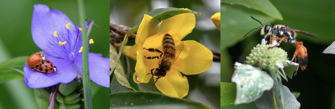 Screen Shot 2020-08-13 at 6.21.34 PM