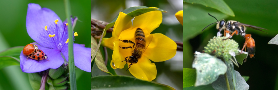 Screen Shot 2020-08-13 at 6.21.34 PM