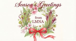 Festive wreath made of Louisiana wild flowers and foliage with the message "Season's Greetings from LMNA" in stylish red text.