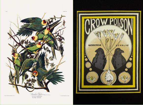 Two artistic depictions of nature to encourage interest in the Drawn to Nature" exhibition.