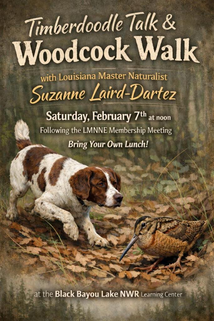 Poster with bird dog and timberdoodle advertising free American Woodcock talk and walk event!