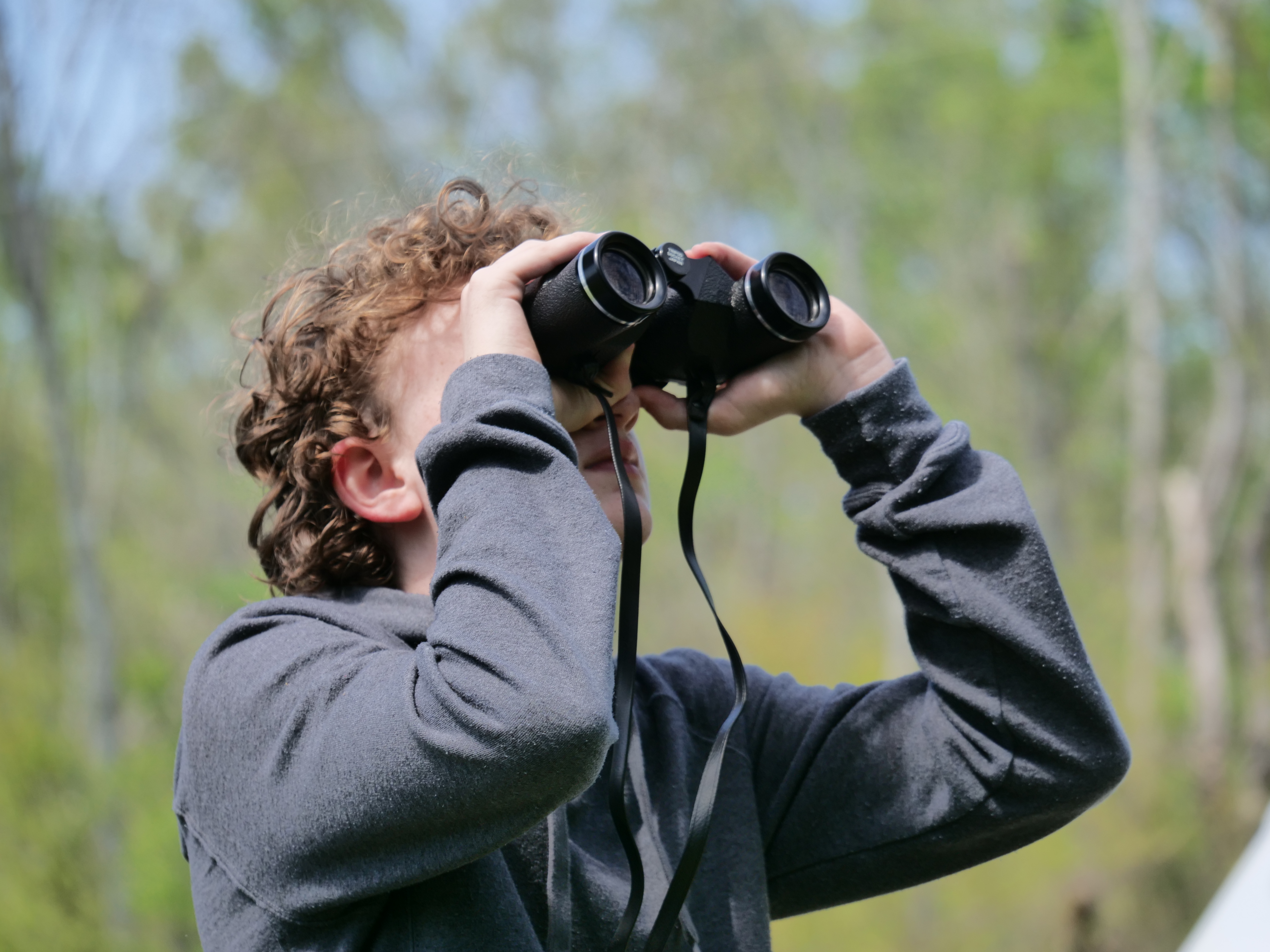 Youth looking through binoculars in woodland